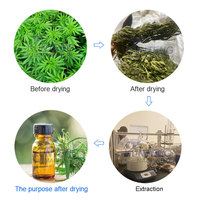 Auto Doorlopende Transportband Droger Cbd Cannabidiol Droger Hennep Laat Droogmachine Apparatuur