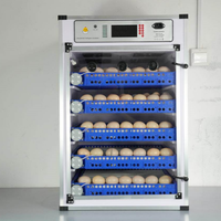 Incubateur d'œufs intelligent nouvelle génération pour oiseaux, poulets, émeus, oies et autruches |   Machine d'incubation entièrement automatique, taux d'éclosion de 98%, 220V PVC