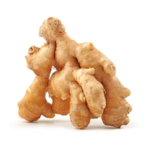 china/ chinese new crop Fresh ginger factory price oil fresh ginger exporter for fresh ginger with good price