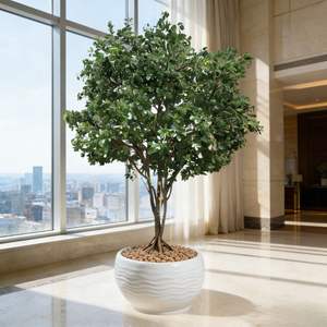 Árbol <span class=keywords><strong>de</strong></span> Limón Artificial <span class=keywords><strong>de</strong></span> Gran Tamaño Personalizado <span class=keywords><strong>de</strong></span> 400 cm, Decoración <span class=keywords><strong>de</strong></span> Interiores, Gran Árbol <span class=keywords><strong>de</strong></span> Limón con Troncos Naturales - Product Image 6
