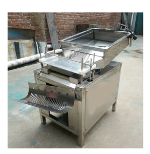Machine à peler les œufs de caille électrique, machine à peler les œufs de caille, machine à casser les œufs de caille - Product Image 4