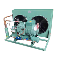 Almacenamiento de habitaciones antiguas Refrigeración industrial Mini 2hp Compresor de desplazamiento Unidades de condensación Walk In Freezer