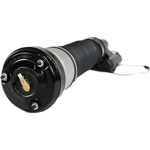 Paires de vérins de suspension pneumatique avant pour Mercedes <span class=keywords><strong>W220</strong></span> S430 <span class=keywords><strong>S500</strong></span> 4Matic - Product Image 1