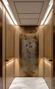 Hot Sale 304 Hairline Titanium Stainless Steel <b>Elevator</b> for Hotel Hospital otiis - Product Image 5
