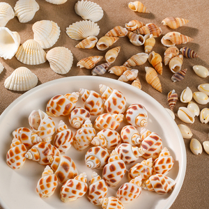 JD GEMS Wholesale High Quality Natural Shell Jewelry <strong>Accessories</strong> for DIY Fashion Necklace and Bracelets Jewelry - Product Image 4