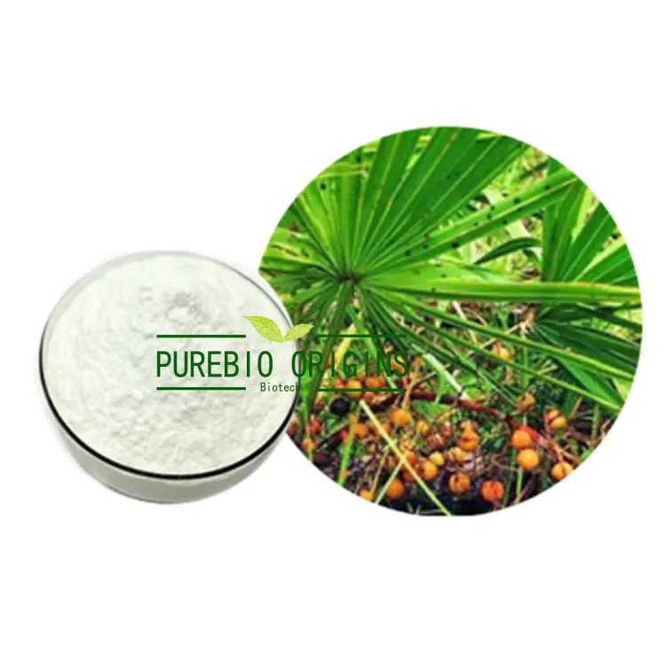 Suplemento natural Saw Palmetto Extracto de fruta Saw Palmetto Extracto en polvo