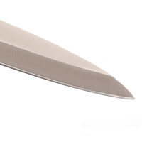 9.5 ''inoxydable Sushi Japonais Couteau de Chef De Cuisson Pro Filet Couteaux à Poisson