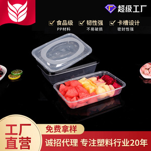 American Style <b>Square</b> Disposable Plastic Lunch Box 350ml With Lid For Fruit Salad Packaging Takeout Business Use - Product Image 4
