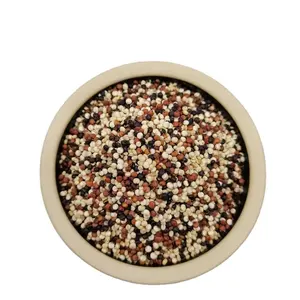 Fabriqué en chine, qualité supérieure, peut être en gros, graines de Quinoa biologique tricolore