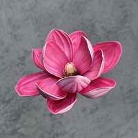 Grande tête de fleur de magnolia artificielle multicolore 3D pour décoration florale DIY mariage maison fête