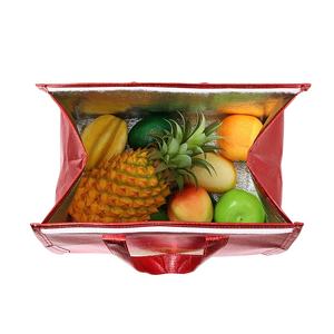 Bolsa refrigeradora de tela de nailon impermeable para conservación de alimentos y bebidas, bolsa de cuero para Picnic fresca reutilizable y reciclable - Product Image 1