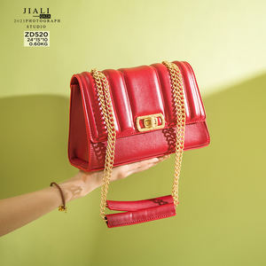 ZD520 borsa a tracolla per ragazze a tracolla in pelle Pu con catena personalizzata all'ingrosso per borse da donna di lusso alla moda - Product Image 1