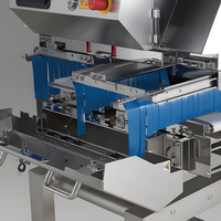 Fabricación de Fábrica de Máquinas de Rayos X Visuales para Líneas de Producción de Pruebas de Alimentos Detectores de Rayos X para Procesamiento de Alimentos