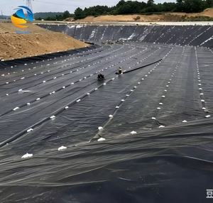 Géomembrane HDPE moderne pour revêtement de barrage – <span class=keywords><strong>Prix</strong></span> au mètre carré, directement de l'usine pour bassins et décharges – Meilleure offre en gros - Product Image 5