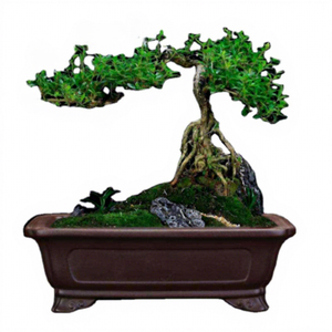 Maceta de Bonsái Rectangular Clásica de Arcilla Morada Yixing, Estilo Japandi Rústico y de Lujo, Diseño Cloudfeet para Uso en Interiores/Centros Comerciales - Product Image 3