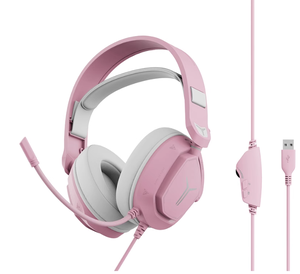 Tai Nghe Có Dây Không Dây Cho Lenovo R360 Legion Chơi Game Sử Dụng Tai Nghe Thương Hiệu Ban Đầu Mới 2.4G Loại C Hoặc 3.5Mm Đầu Nối Tròn - Product Image 3