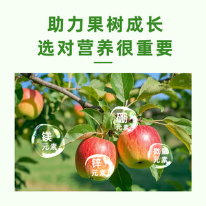 Engrais soluble dans l'eau Stable Fruit Swelling Spirit 130ml pour l'agrandissement et l'adoucissement des fruits - Product Image 5