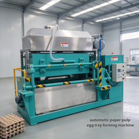 Machine à plateaux à œufs en papier vert pour une production durable avec recyclage de l'eau et faibles émissions
