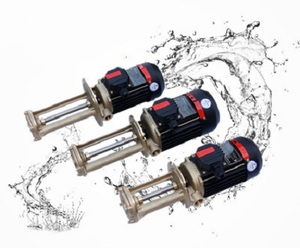 ปั๊มน้ำมันร้อนขนาดเล็กแนวตั้ง WL สำหรับอุณหภูมิสูง - Product Image 1