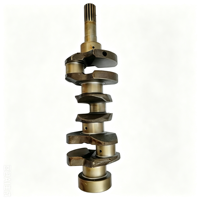 Vilebrequin en fonte pour moteur diesel Kubota D1005 1G06723013