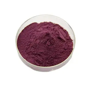 healthy food Blackcurrant powder Supply Black Currant Fruit Extract Powder 5:1 25% Anthocyanin