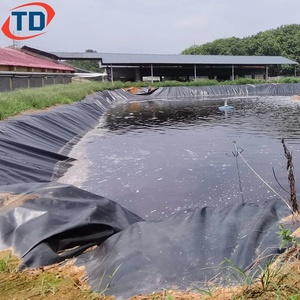 Prix au rouleau Géomembranes en HDPE pour barrière contre les racines d'arbres 1mm 2mm 1.5mm Géomembrane pour revêtements de bassins à poissons 45mil 60mil 80mil - Product Image 5