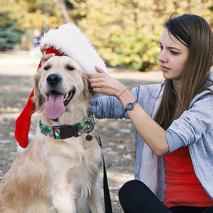Collar navideño personalizado para perros, accesorios ajustables para gatos, arnés para mascotas <span class=keywords><strong>galgo</strong></span> con logotipo de fábricas a la moda - Product Image 6