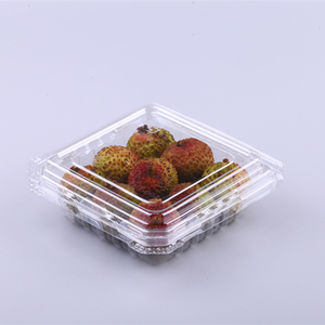 Disposable Plastic PET clamshell food packaging boxes supermarket fresh fruit packing container square on sale