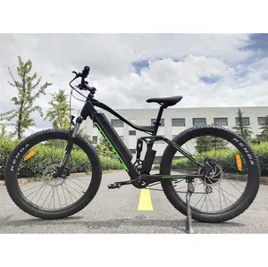 PETRIGO Retail Electric Fat Bike 250w Mountain Bicycle 48v E bike lithium battery pedal assisst bicycle