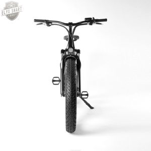 <span class=keywords><strong>ELYX</strong></span> ES019 2020 new 500W/750W 26 inch 80KM wholesale electric mountain bike electric bicycle wholesale bicycle tire - Product Image 6