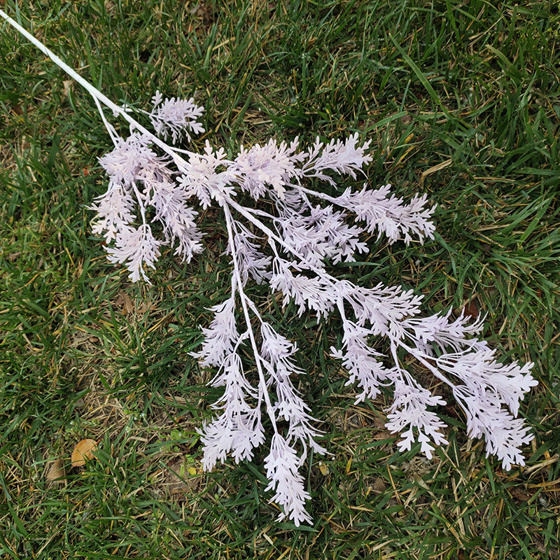 สีชมพูอ่อน