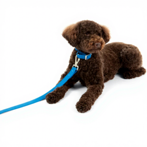 Ensemble laisse et collier pour chien, personnalisé, de luxe, en sangle enduite de PVC, longue, durable, imperméable, tactique, à libération rapide, souple, Indie Blue - Product Image 3