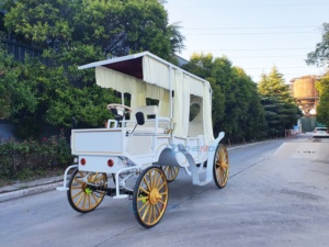 Prix d'usine, vente en gros : Carrosse de princesse électrique sans chevaux, modèle Cendrillon, pour la visite touristique, à vendre - Product Image 5