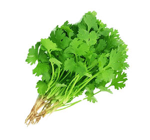 नया उत्पाद गर्म बिक्री प्राकृतिक धनिया निकालें धनिया पाउडर - Product Image 4