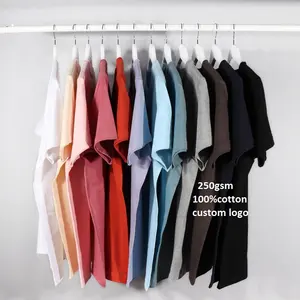 भारी वजन 250 जीएसएम कपास टीशर्ट उच्च गुणवत्ता Dtg कस्टम मुद्रित टी शर्ट 250Gsm नियमित रूप से फिट आराम रंग टी शर्ट यूनिसेक्स