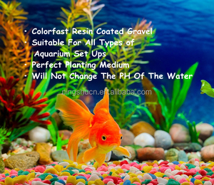 Phong cách hiện đại Epoxy tráng trang trí Aquarium sỏi cho Aquarium trang trí - Product Image 1