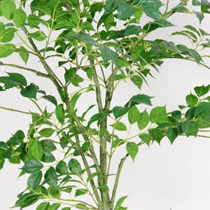 Árbol Artificial de la Suerte Dream Castle, 100-200 cm, Planta Decorativa Grande para Interiores - Product Image 2
