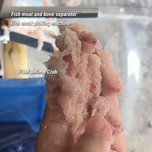 Máquina Separadora de Carne de Pescado, Extractor de Carne de Camarón, Separador de Carne de Cangrejo, Máquina Procesadora de <span class=keywords><strong>Dedos</strong></span> de Pescado, Equipo de Recolección de Carne de Mariscos - Product Image 5
