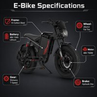 Vélo électrique 750W 48V 15AH avec écran LCD gris, double suspension, conduite confortable, trajets quotidiens sans effort, déplacement fluide sur les routes, vélo électrique