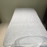 Drap de lit jetable imperméable en PP non tissé avec élastique, idéal pour les soins de santé, les hôtels et les salons de beauté