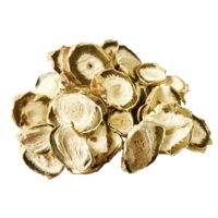 Extrait de champignon Veselka en poudre de Chine, 20% de polysaccharides