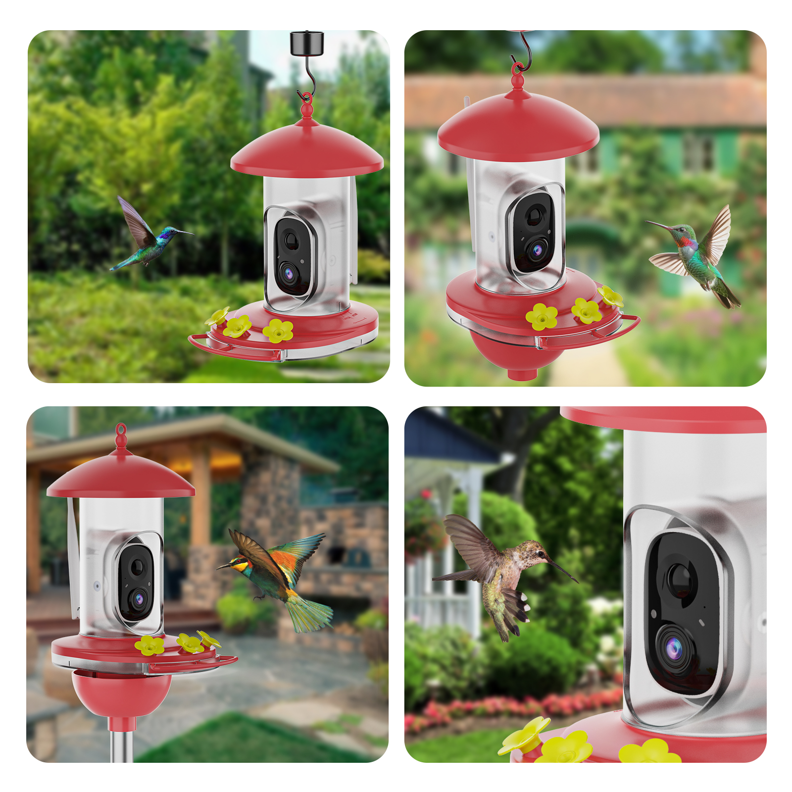 automatic bird feeder camera
