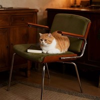 Chaise de salle à manger moderne et traditionnelle avec revêtement en velours, pieds en métal capitonnés et assise en bois