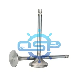 manufactory locomotive Diesel spare parts, RUSSIA D49 D50 intake valve and exhaust valves engine valve