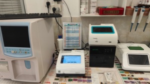 Analizador de hormonas veterinarias de gran oferta y analizador cuantitativo de inmunofluorescencia - Product Image 4