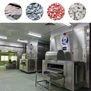 Línea de Congelación IQF para Espárragos y Vegetales, Máquina de Congelación Rápida para Vegetales de Hoja, Línea de Congelación de Brócoli - Product Image 4