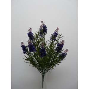 Cespuglio di Lavanda X18 50CM VI - Product Image 1