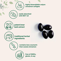 Gélules de Cannelle de Ceylan 300 unités avec Extrait de Cannelle de Ceylan Huile de Coco MCT Complément Herbal Vente en Gros OEM