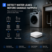 Detektor Kebocoran Air Nirkabel Sensor Alarm Keamanan Rumah Pintar Perangkat Deteksi Kebocoran Banjir untuk Sistem Alarm