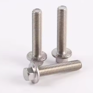 Afrika Project Speciale RVS Zeskantflensbout Moer Set, 304 316 DIN6921 Bevestigingsmiddel voor Stedelijke Bouw en Brugconstructies - Product Image 1